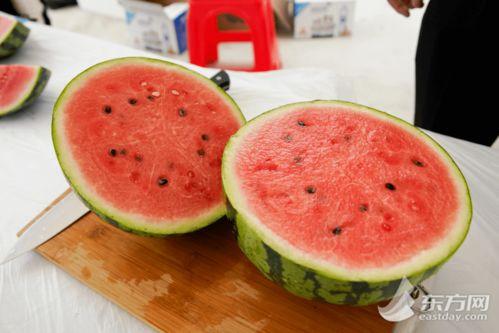 天津吃啥瓜,探寻津门“吃瓜”文化