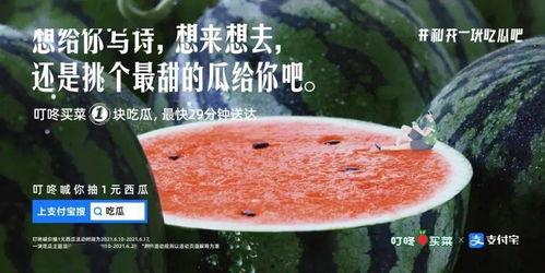 晚上吃贝贝瓜文案,贝贝瓜，甜蜜滋味，尽享清凉时光