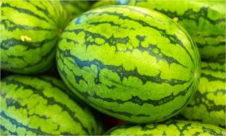 4-7月吃瓜,4-7月吃瓜盛宴回顾