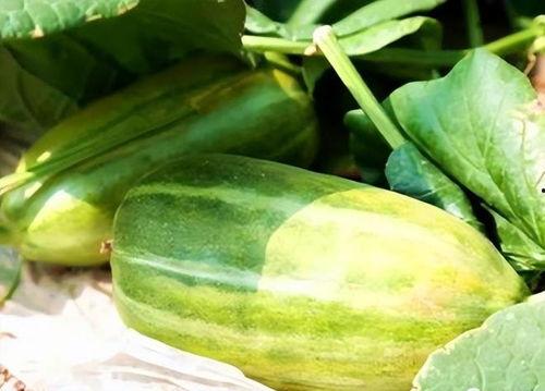 吃瓜什么网站推荐最好,畅享娱乐资讯的绝佳选择