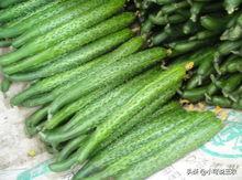 父母阳台吃瓜,一家人的悠闲时光