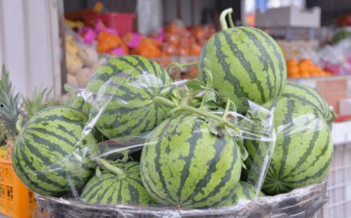 巴乐瓜怎么吃,解锁美味新体验