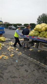 许昌市吃瓜,瓜果飘香，品味民俗风情