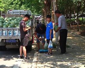 许昌市吃瓜,瓜果飘香，品味民俗风情