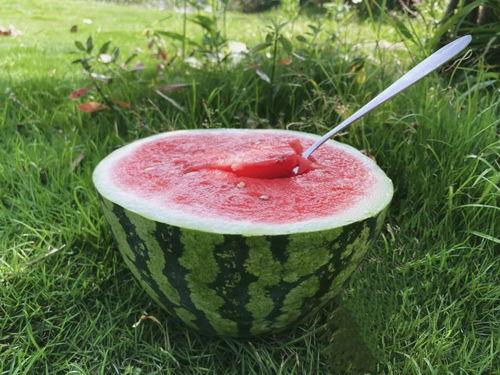 嗨吃大瓜,揭秘娱乐圈美食背后的故事