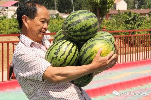 嗨吃大瓜,揭秘娱乐圈美食背后的故事