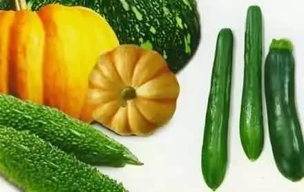 夏日应该吃瓜还是吃瓜子