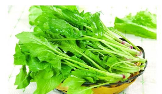 莱州菠菜吃瓜,吃瓜群众的绿色盛宴