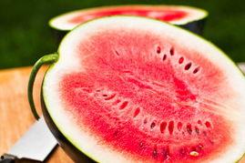 今日吃瓜每日必吃,每日必吃，揭秘娱乐圈新鲜事