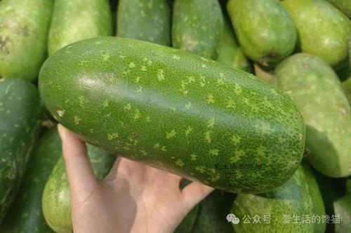 春季都有哪些瓜吃,瓜果飘香——春季瓜类美食大盘点