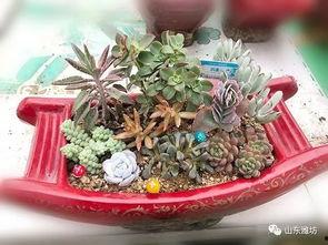 轩源吃瓜,揭秘娱乐圈幕后故事