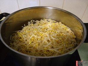 广东炒粉吃瓜,广东炒粉与夏日吃瓜的完美邂逅