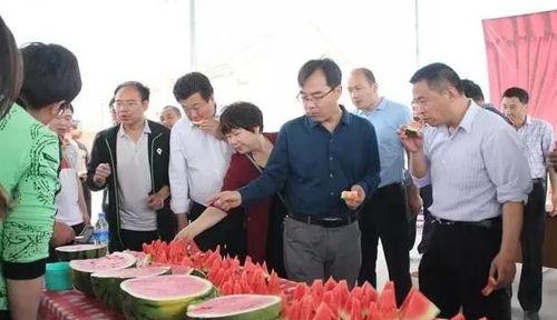 内黄县医院吃瓜,真相与反思