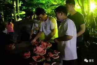 温州兄妹事件吃瓜,揭秘背后真相，亲情与利益的纠葛