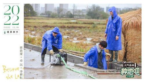 种地吧吃瓜后续,田园生活新篇章