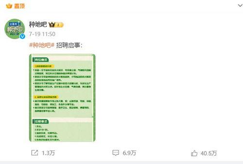 种地吧吃瓜后续,田园生活新篇章