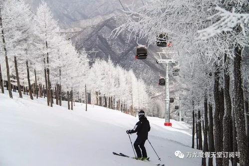 万龙滑雪吃瓜,一场冰雪盛宴中的吃瓜奇观