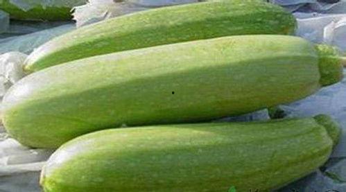 白瓜和什么吃最好,白瓜搭配什么食材营养更佳