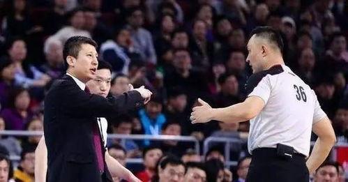 辽宁球员吃瓜事件,球场风波背后的瓜田疑云