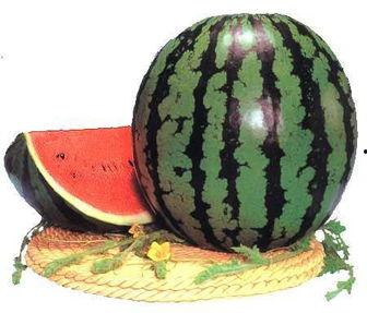 吃瓜功,网络热议背后的真相与启示