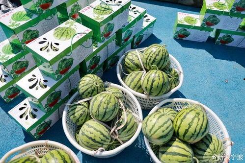 吃瓜欣欣子,揭秘娱乐圈背后的故事