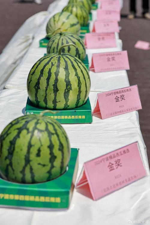 吃瓜欣欣子,揭秘娱乐圈背后的故事