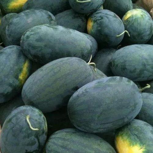 京瓜可以怎么吃,解锁京瓜的多样美味