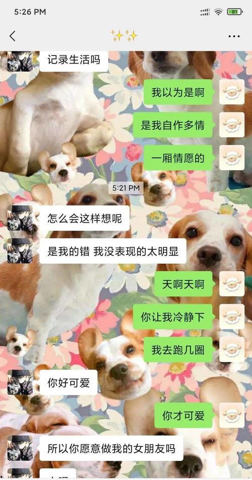 吃瓜变吃狗粮,娱乐圈的甜蜜与苦涩