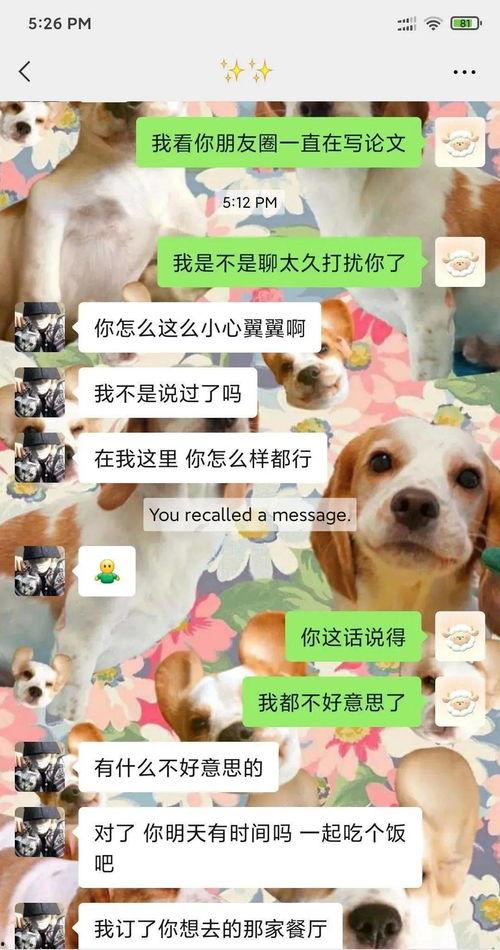 吃瓜变吃狗粮,娱乐圈的甜蜜与苦涩