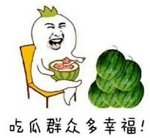 乖瓜咋吃