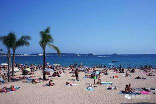 树懒在吃瓜,揭秘热带雨林中的悠闲生活