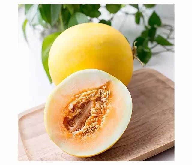 吃瓜的没有嫌瓜甜的,无怨瓜甜，共享欢乐时光