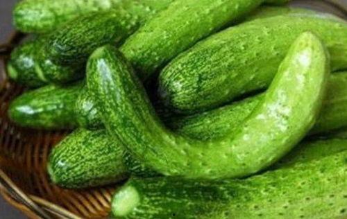 绿地吃瓜内容,探寻绿地美食之旅