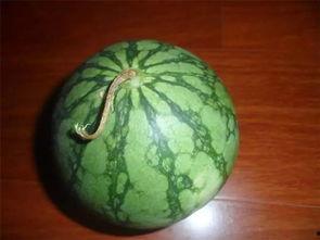 吃不够的瓜,吃不够的瓜，尽享夏日美味时光