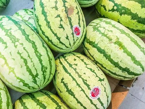 什么瓜能做牙签吃,揭秘可食用牙签的神奇瓜类