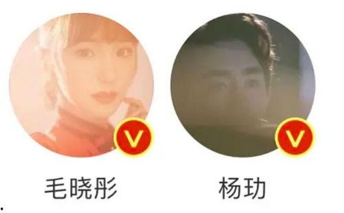 吃瓜群众cp粉,揭秘吃瓜群众CP粉的疯狂世界