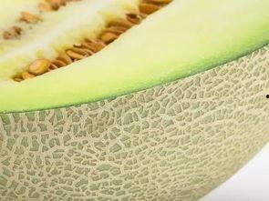 吃瓜先吃瓤,揭秘瓜果美味的第一口奥秘