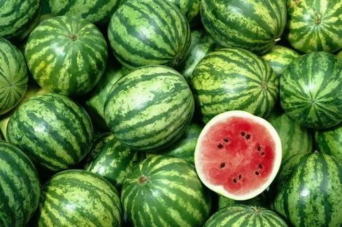 甘肃人买瓜吃瓜