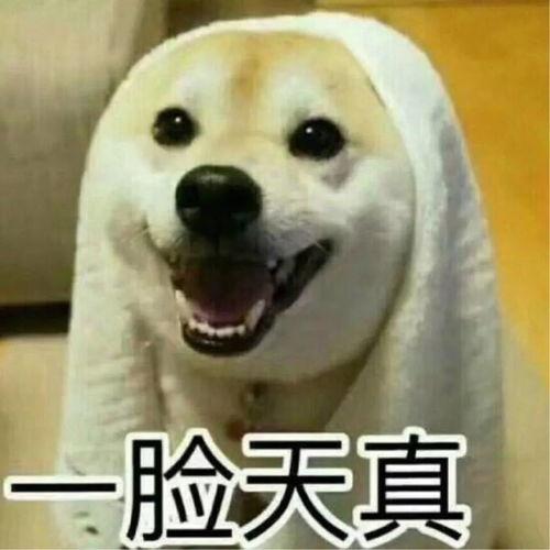 影视吃瓜搞笑,搞笑瞬间大盘点