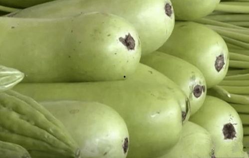 牛吃瓜中毒了,警惕动物食品安全