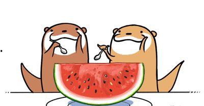 又到吃瓜季节啦