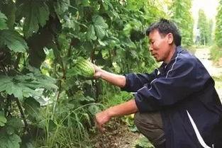 阮阮吃瓜,揭秘娱乐圈幕后故事