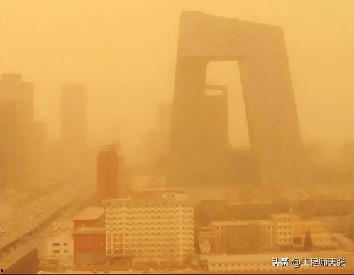 沙尘吃瓜,探寻沙漠里的独特风味